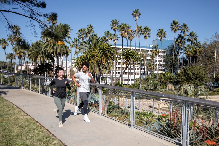 Discover the Best Esplanade CC Lifestyle Activities for a Healthier, Happier You