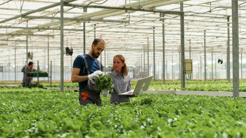 How to Integrate Technology with Traditional Farming