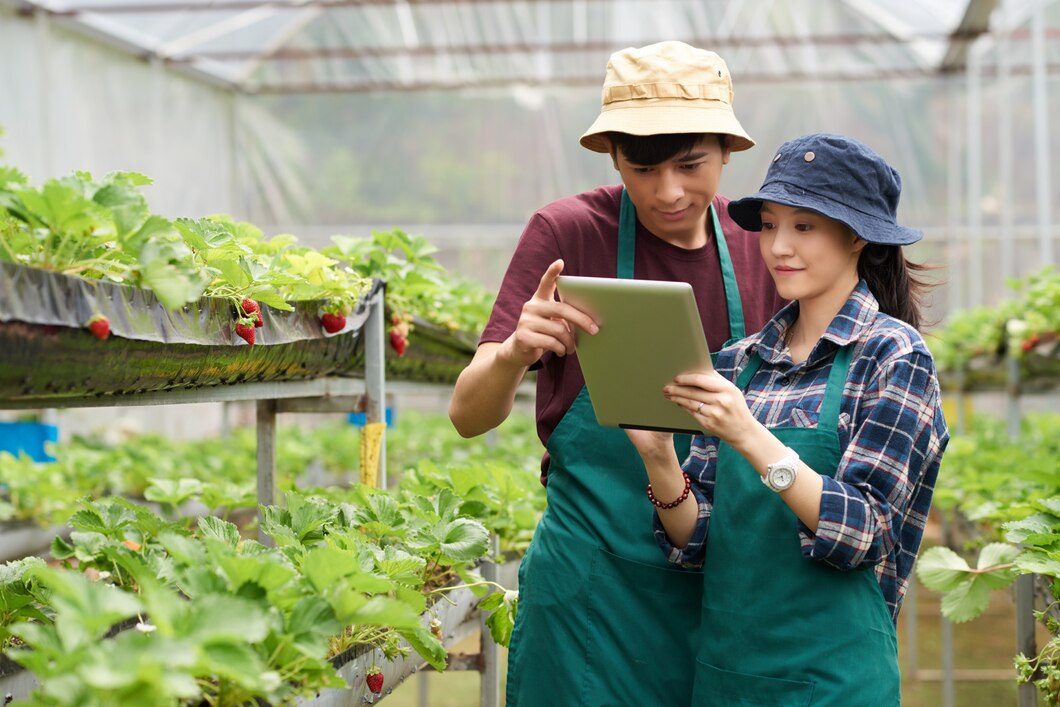 How to Integrate Technology with Traditional Farming: A Modern Approach to Boosting Yields